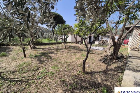 Villa i Torretta, Palermo, Torretta - € 135 000 | Ref: U 33/26 - foto 5