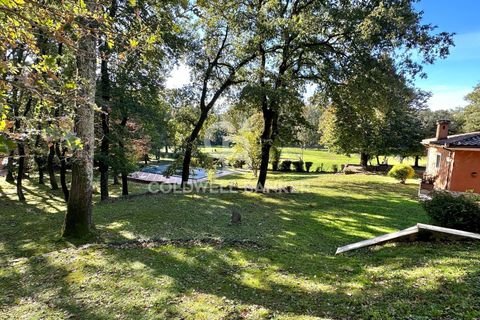 Villa i Rome, Rome, Rome - € 2.000.000 | Ref: CBI075-681-129760 - foto 47