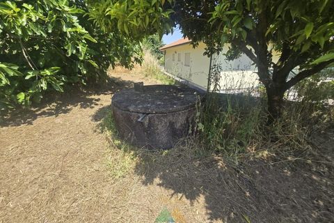 Villa i Arcos de Valdevez, Viana do Castelo, Arcos de Valdevez - € 320.000 | Ref: AVV-011-026 - foto 19