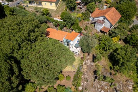 Farm i Ponte de Lima, Viana do Castelo, Ponte de Lima - € 260.000 | Ref: PTL-004-145 - foto 4