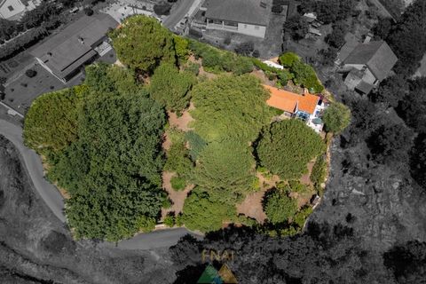 Farm i Ponte de Lima, Viana do Castelo, Ponte de Lima - € 260.000 | Ref: PTL-004-145 - foto 10