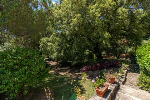 Farm i Ponte de Lima, Viana do Castelo, Ponte de Lima - € 260.000 | Ref: PTL-004-145 - foto 36
