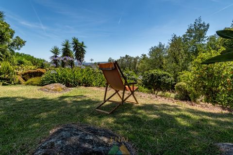 Farm i Ponte de Lima, Viana do Castelo, Ponte de Lima - € 260.000 | Ref: PTL-004-145 - foto 37