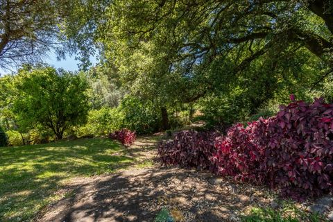 Farm i Ponte de Lima, Viana do Castelo, Ponte de Lima - € 260.000 | Ref: PTL-004-145 - foto 39