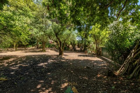Farm i Ponte de Lima, Viana do Castelo, Ponte de Lima - € 260.000 | Ref: PTL-004-145 - foto 40