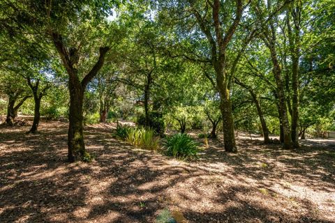 Farm i Ponte de Lima, Viana do Castelo, Ponte de Lima - € 260.000 | Ref: PTL-004-145 - foto 43