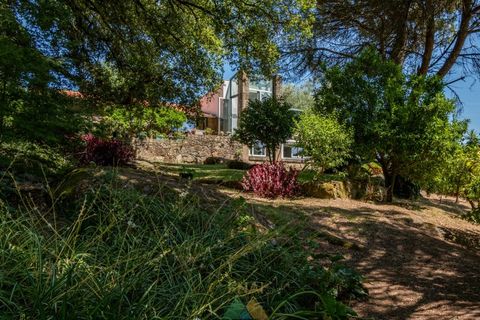 Farm i Ponte de Lima, Viana do Castelo, Ponte de Lima - € 260.000 | Ref: PTL-004-145 - foto 44