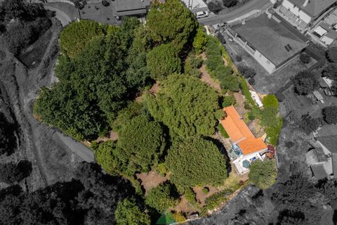 Farm i Ponte de Lima, Viana do Castelo, Ponte de Lima - € 260.000 | Ref: PTL-004-145 - foto 47