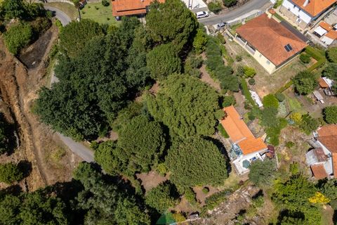 Farm i Ponte de Lima, Viana do Castelo, Ponte de Lima - € 260.000 | Ref: PTL-004-145 - foto 49