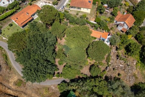 Farm i Ponte de Lima, Viana do Castelo, Ponte de Lima - € 260.000 | Ref: PTL-004-145 - foto 50