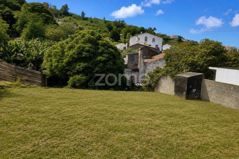 Terra a Santo Antonio, Sao Miguel, Santo Antonio - € 99.950 | Ref: ZMPT590541 - foto 4