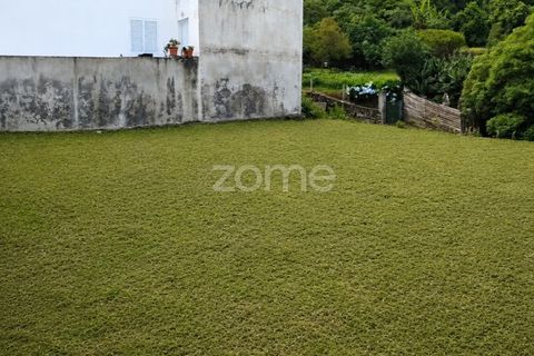 Terra a Santo Antonio, Sao Miguel, Santo Antonio - € 99.950 | Ref: ZMPT590541 - foto 6