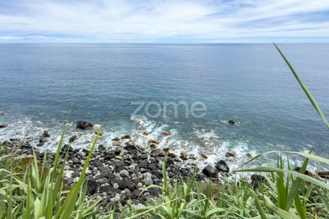 Terra a Relva, Sao Miguel, Relva - € 2.000/mes | Ref: ZMPT590436 - foto 34