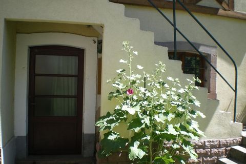 Estudi a Colmar, Haut-Rhin, Colmar - € 370/mes | Ref: 894690 - foto 3