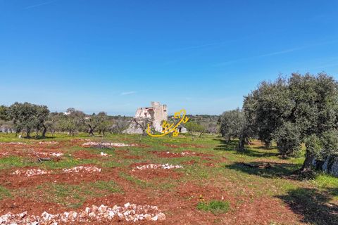 Landejendom i Monopoli, Bari, Monopoli - € 395.000 | Ref: R 573 - foto 12