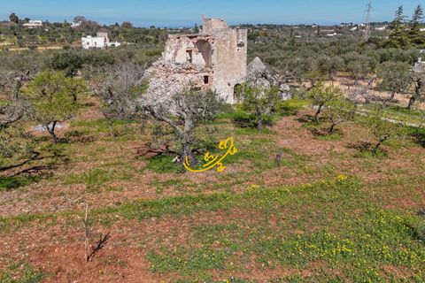 Landejendom i Monopoli, Bari, Monopoli - € 395.000 | Ref: R 573 - foto 16