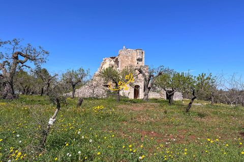Landejendom i Monopoli, Bari, Monopoli - € 395.000 | Ref: R 573 - foto 18