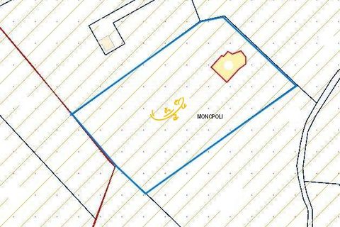 Landejendom i Monopoli, Bari, Monopoli - € 395.000 | Ref: R 573 - foto 26