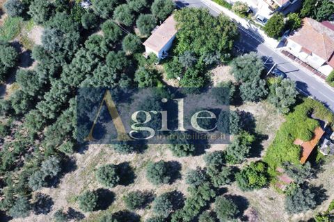 Villa i Corropoli, Teramo, Corropoli - € 65.000 | Ref: 3562 - foto 4