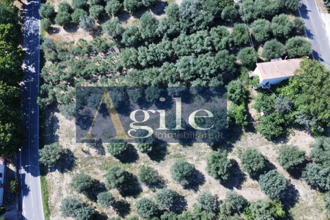Villa i Corropoli, Teramo, Corropoli - € 65.000 | Ref: 3562 - foto 11