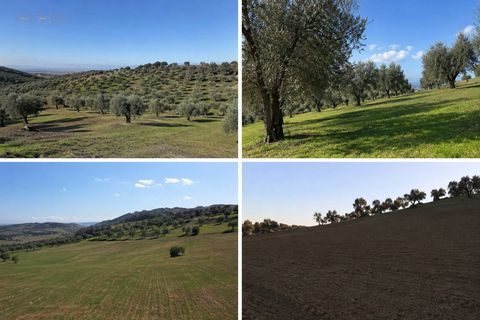 Helårsgrund i Tortoreto, Teramo, Tortoreto - € 85.000 | Ref: 34240 - foto 1