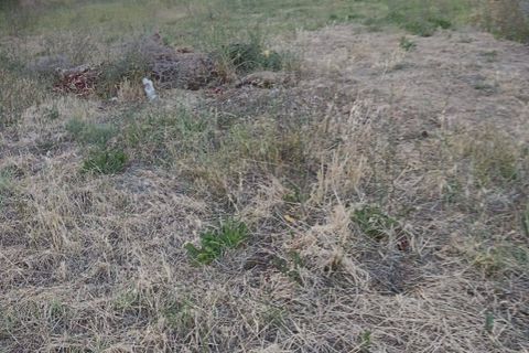 Helårsgrund i Tortoreto, Teramo, Tortoreto - € 85.000 | Ref: 34240 - foto 7