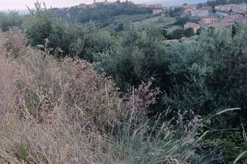 Helårsgrund i Tortoreto, Teramo, Tortoreto - € 85.000 | Ref: 34240 - foto 8