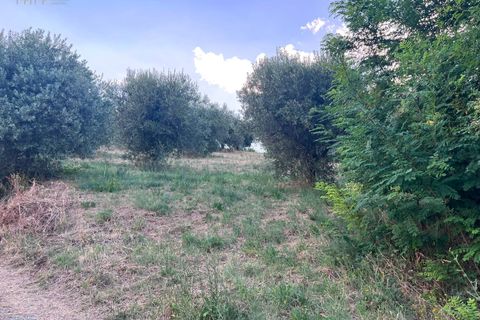 Helårsgrund i Tortoreto, Teramo, Tortoreto - € 85.000 | Ref: 34240 - foto 9