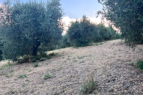 Helårsgrund i Tortoreto, Teramo, Tortoreto - € 85.000 | Ref: 34240 - foto 11