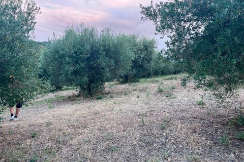 Helårsgrund i Tortoreto, Teramo, Tortoreto - € 85.000 | Ref: 34240 - foto 12