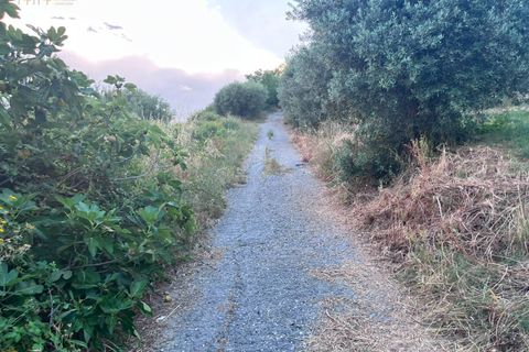 Helårsgrund i Tortoreto, Teramo, Tortoreto - € 85.000 | Ref: 34240 - foto 13