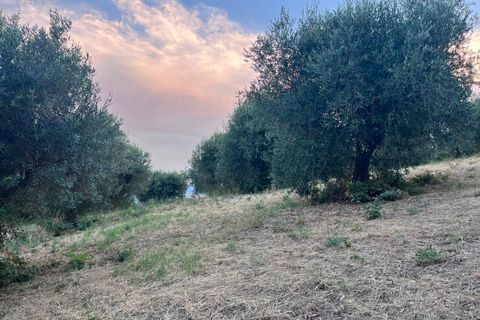 Helårsgrund i Tortoreto, Teramo, Tortoreto - € 85.000 | Ref: 34240 - foto 16