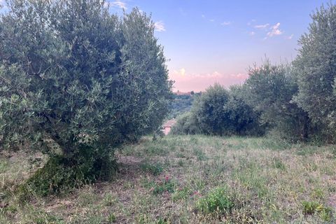 Helårsgrund i Tortoreto, Teramo, Tortoreto - € 85.000 | Ref: 34240 - foto 18