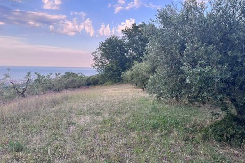 Helårsgrund i Tortoreto, Teramo, Tortoreto - € 85.000 | Ref: 34240 - foto 19