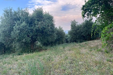 Helårsgrund i Tortoreto, Teramo, Tortoreto - € 85.000 | Ref: 34240 - foto 20