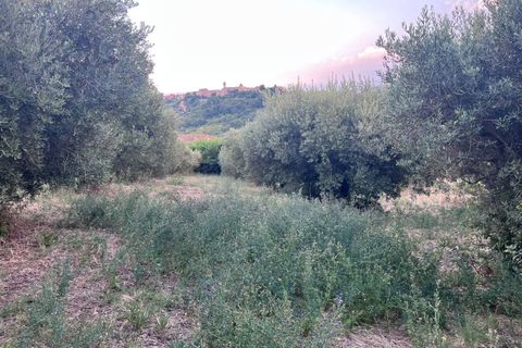 Helårsgrund i Tortoreto, Teramo, Tortoreto - € 85.000 | Ref: 34240 - foto 21
