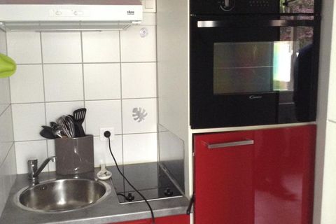 Estudi a Guebwiller, Haut-Rhin, Guebwiller - € 460/mes | Ref: 303375 - foto 2