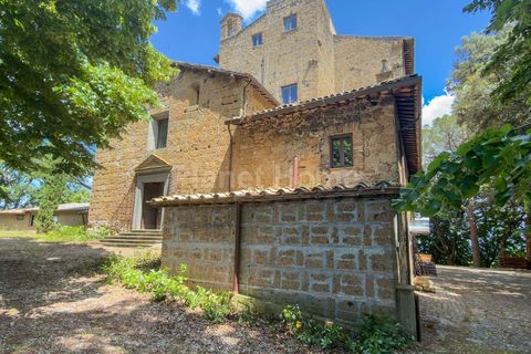 Villa a Bagnoregio, Viterbo, Bagnoregio - € 1.500.000 | Ref: TOS05-1376808 - foto 4