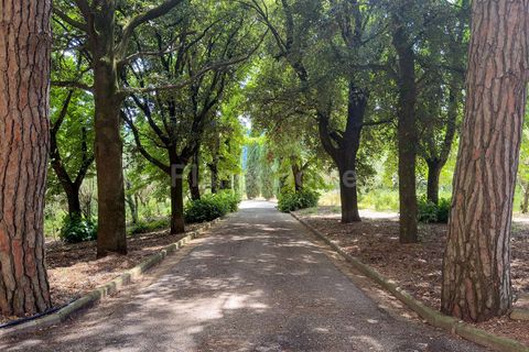 Villa a Bagnoregio, Viterbo, Bagnoregio - € 1.500.000 | Ref: TOS05-1376808 - foto 7