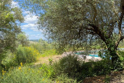 Villa a Bagnoregio, Viterbo, Bagnoregio - € 1.500.000 | Ref: TOS05-1376808 - foto 10