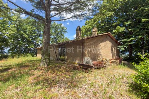 Villa a Bagnoregio, Viterbo, Bagnoregio - € 1.500.000 | Ref: TOS05-1376808 - foto 12