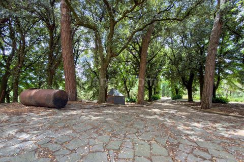 Villa a Bagnoregio, Viterbo, Bagnoregio - € 1.500.000 | Ref: TOS05-1376808 - foto 13