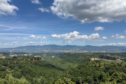 Villa a Bagnoregio, Viterbo, Bagnoregio - € 1.500.000 | Ref: TOS05-1376808 - foto 19
