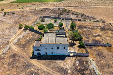 Granja a Manduria, Taranto, Manduria - € 800.000 | Ref: 2285-1376918 - foto 6