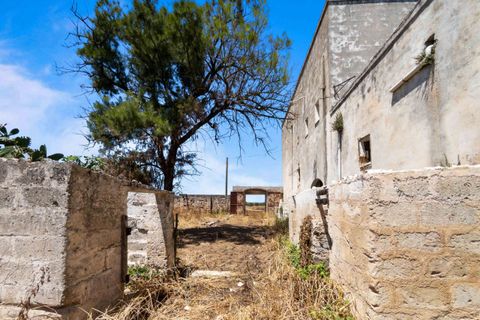 Granja a Manduria, Taranto, Manduria - € 800.000 | Ref: 2285-1376918 - foto 18