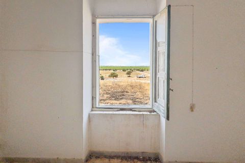 Granja a Manduria, Taranto, Manduria - € 800.000 | Ref: 2285-1376918 - foto 27