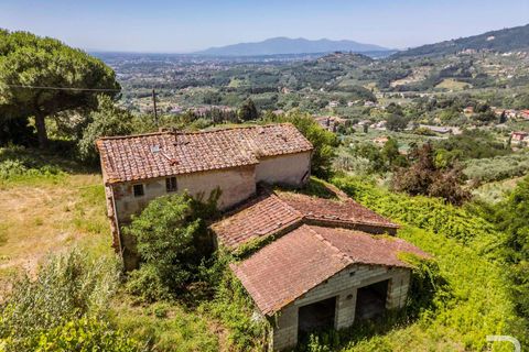 Farm hus i Massa E Cozzile, Pistoia, Massa E Cozzile - € 260.000 | Ref: R07264MACA-1377098 - foto 1