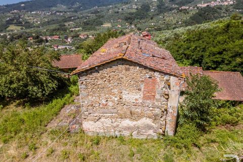 Farm hus i Massa E Cozzile, Pistoia, Massa E Cozzile - € 260.000 | Ref: R07264MACA-1377098 - foto 3