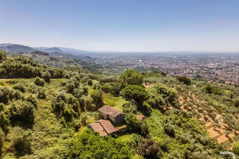 Farm hus i Massa E Cozzile, Pistoia, Massa E Cozzile - € 260.000 | Ref: R07264MACA-1377098 - foto 5