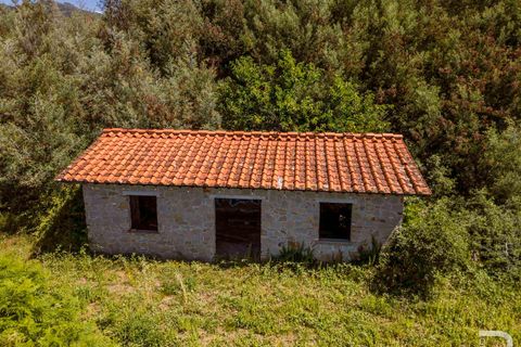 Farm hus i Massa E Cozzile, Pistoia, Massa E Cozzile - € 260.000 | Ref: R07264MACA-1377098 - foto 6